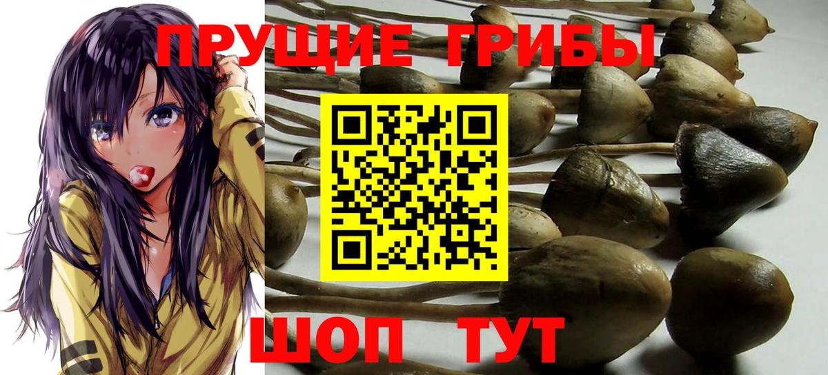 Псилоцибиновые грибы мицелий  Вход с VPN  Черногорск 