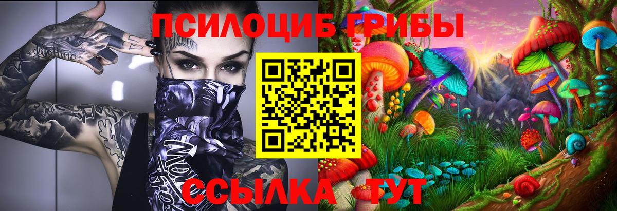 Псилоцибиновые грибы GOLDEN TEACHER Черногорск